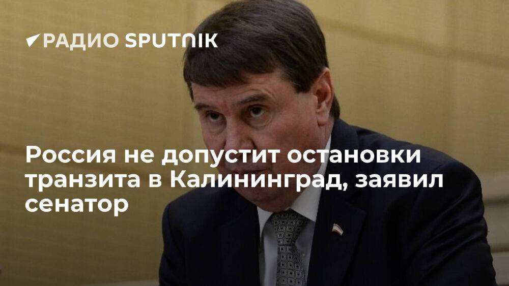 Сенатор Цеков: Россия не допустит остановки транзита грузов в Калининград