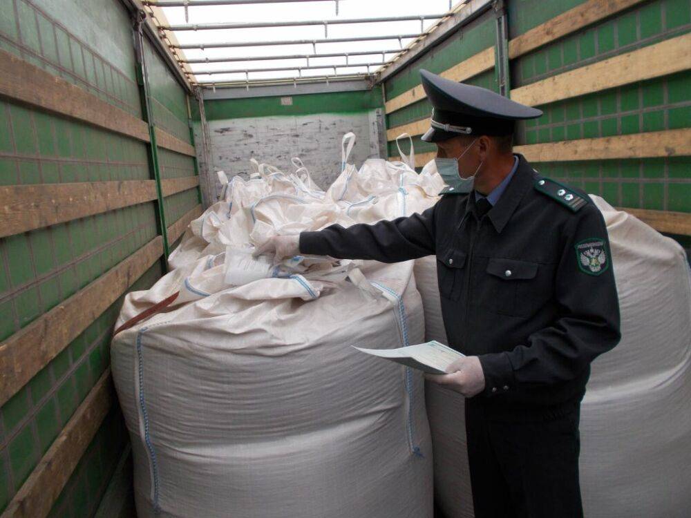 Фитосанитарный досмотр грузов в Тверской области не выявил нарушений