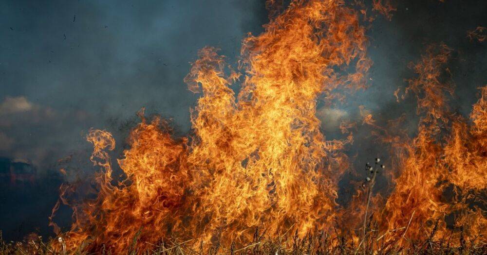 В Испании из-за масштабных пожаров сожжено более 10 тысяч гектаров земли: огонь распространяется (видео)