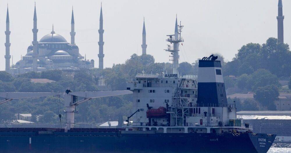 Первое судно с украинским зерном Razoni оказалось в Сирии, — СМИ