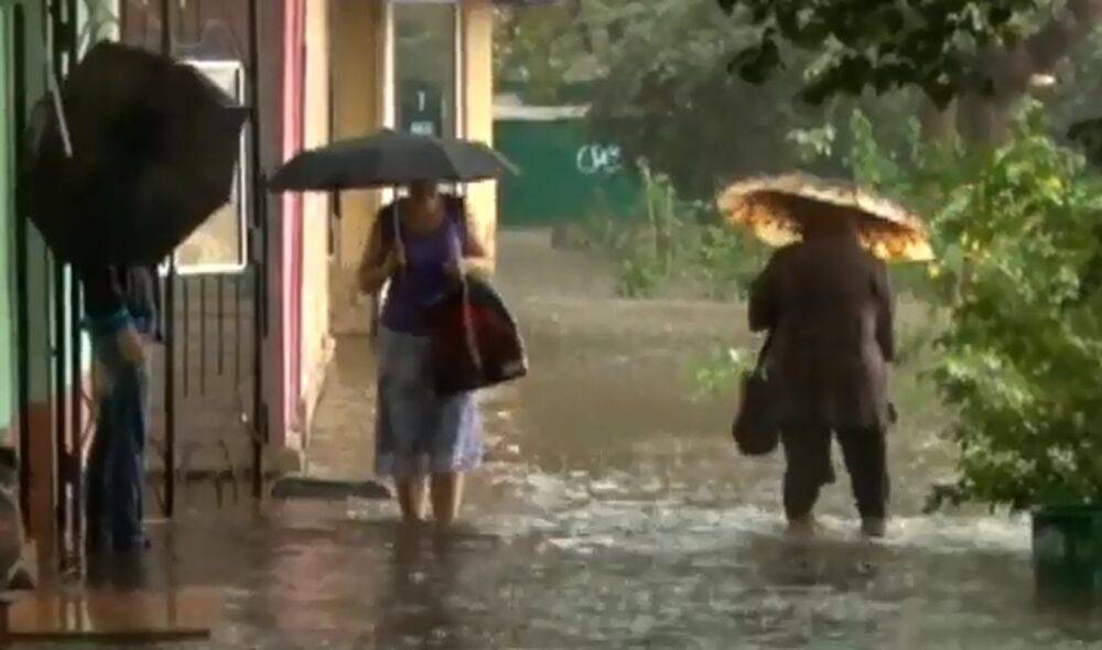 От +16 и дожди с грозами: синоптики предупредили о мокрой погоде в среду, 17 августа