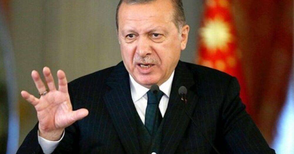 Эрдоган приедет во Львов обсуждать прекращение войны в Украине, — СМИ