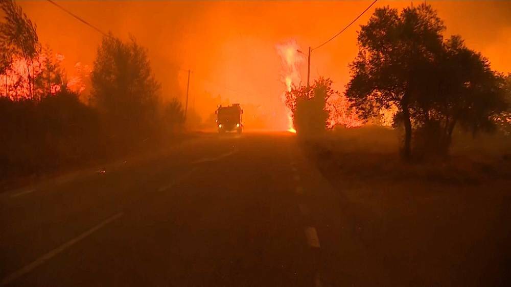 Пожары уничтожают десятки тысяч гектаров западноевропейских лесов