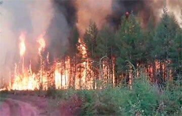 В России вспыхнул масштабный лесной пожар: запах гари слышно в Москве
