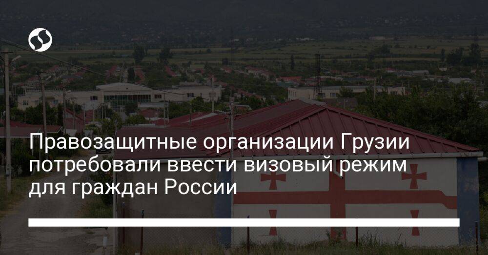 Правозащитные организации Грузии потребовали ввести визовый режим для граждан России
