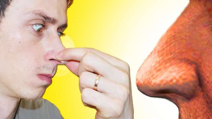 Зв'язок між розміром пеніса та довжиною носа виявили японські урологи