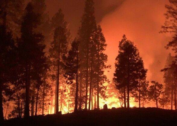 В восточных провинциях Алжира бушуют лесные пожары, есть погибшие