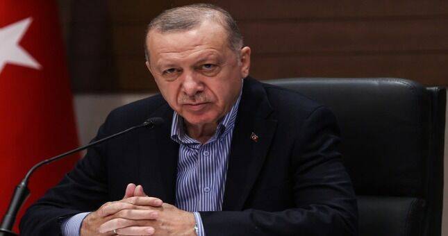 СМИ: Президент Турции предложит Зеленскому встречу с Путиным и посредничество при обмене пленными