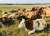 Чиновник в Витебской области пытался скрыть падеж более 800 коров