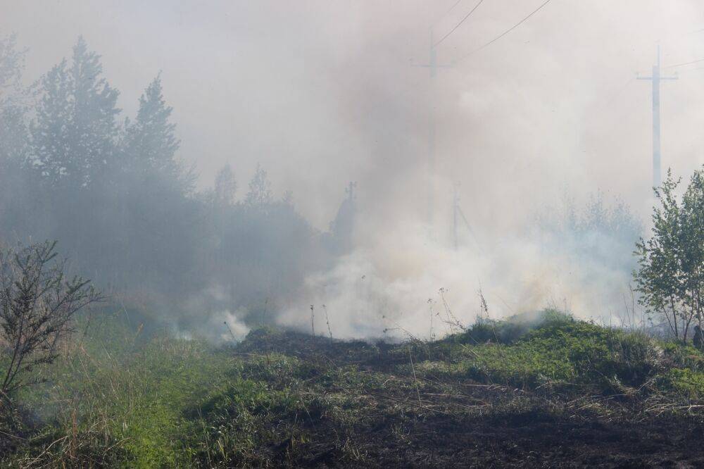 В Тверской области снова горит лесная подстилка