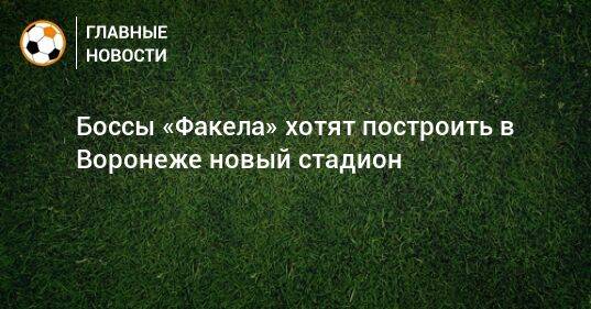 Боссы «Факела» хотят построить в Воронеже новый стадион
