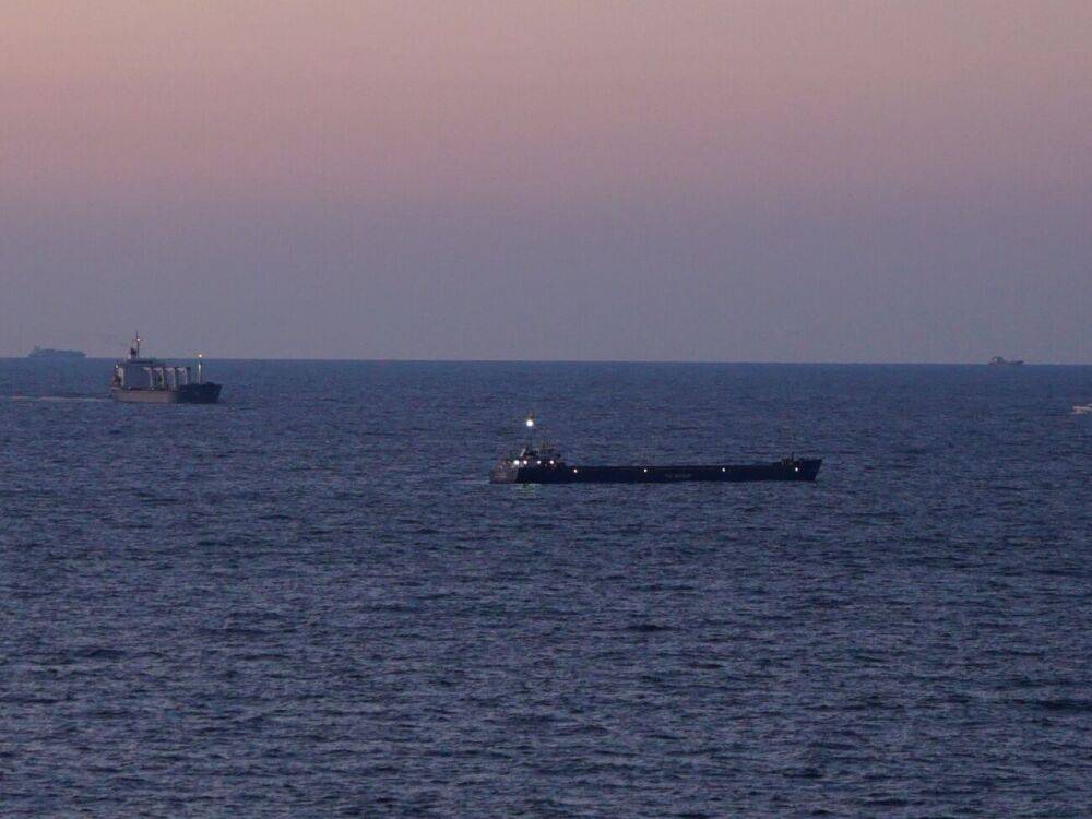 Первое судно из Украины пришло к побережью Турции по "зерновому коридору"