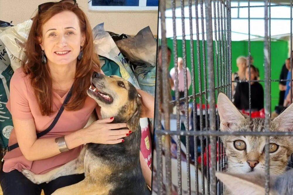 Бездомных собак в Туркменистане продолжают жестоко убивать, а представители ЕС посетили образцовые приюты