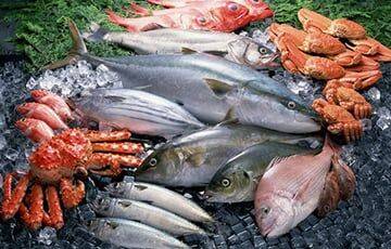 Белорусы столкнулись с дефицитом рыбы и морепродуктов