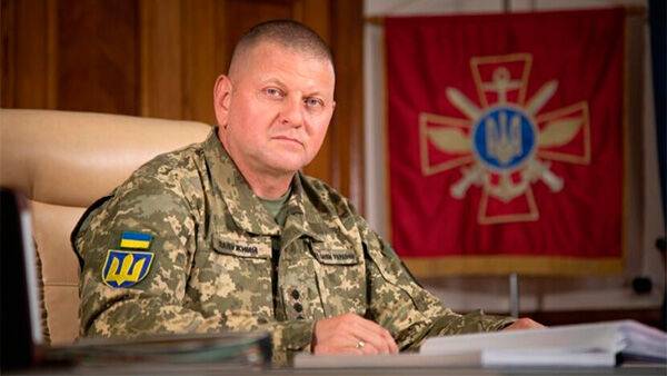 Майже 9 тис. українських героїв загинули у війні з РФ - Залужний