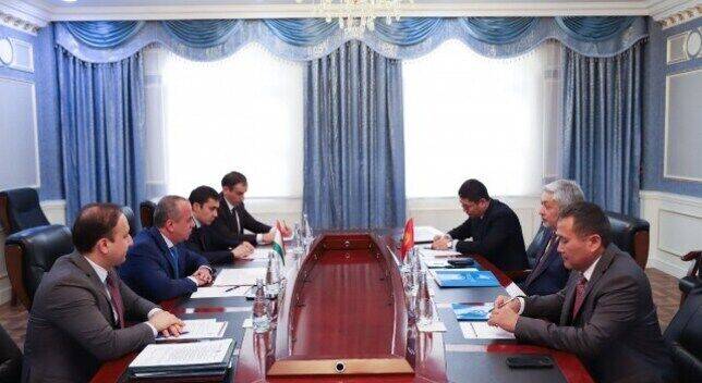 Таджикистан и Кыргызстан обсудили актуальные вопросы двустороннего сотрудничества
