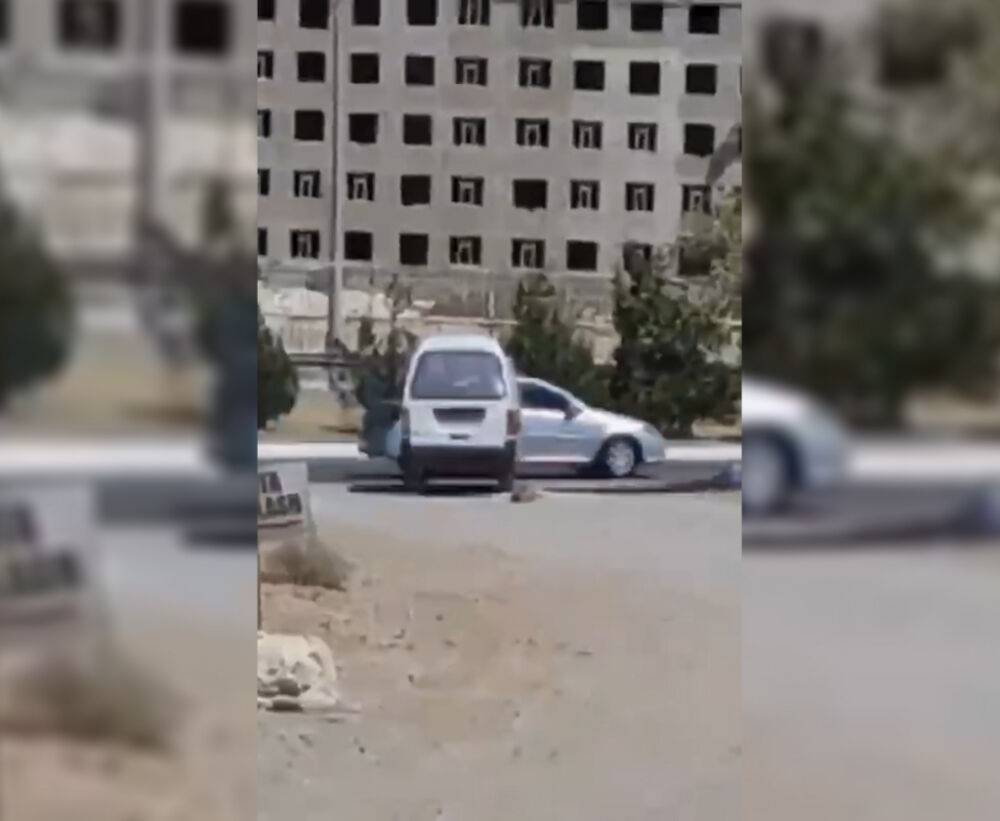 Сотрудники службы отлова в Зарафшане привязали собаку к "Дамасу" и на скорости таскали по улицам города. Видео