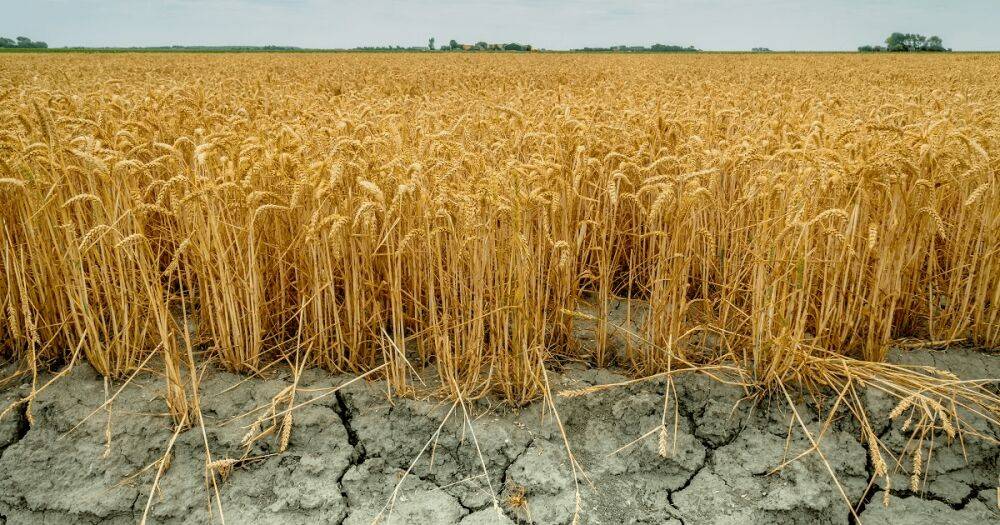 Европу ожидает самая большая засуха за 500 лет, — климатологи