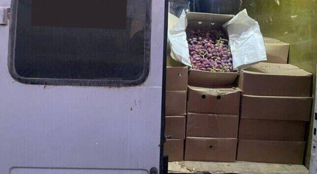 В Кыргызстане изъяли более 4-х тонн таджикского винограда