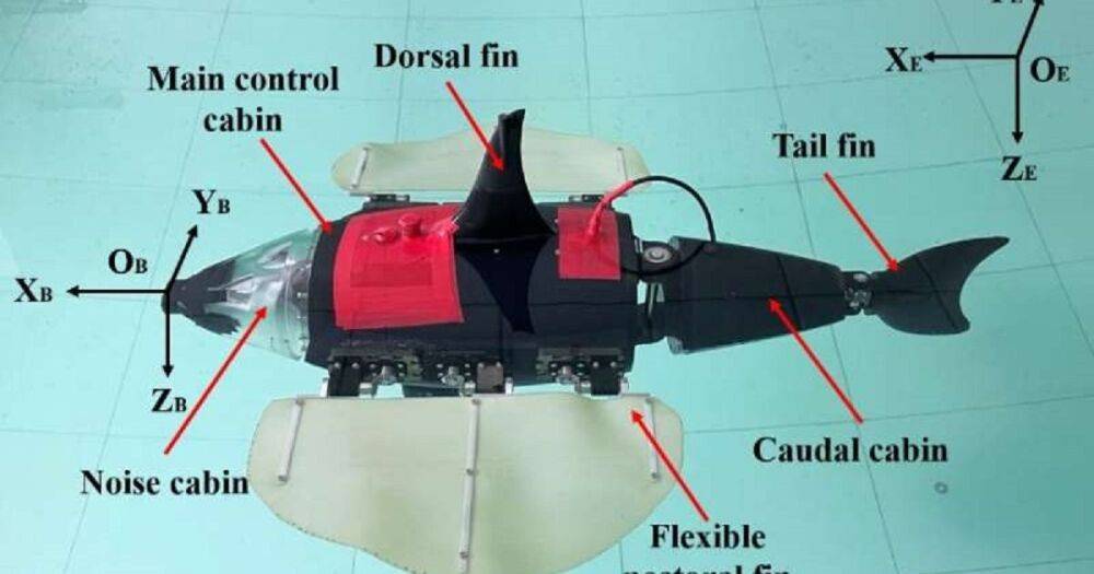 Ученые создали робота-рыбу с огромными плавниками: где она пригодится