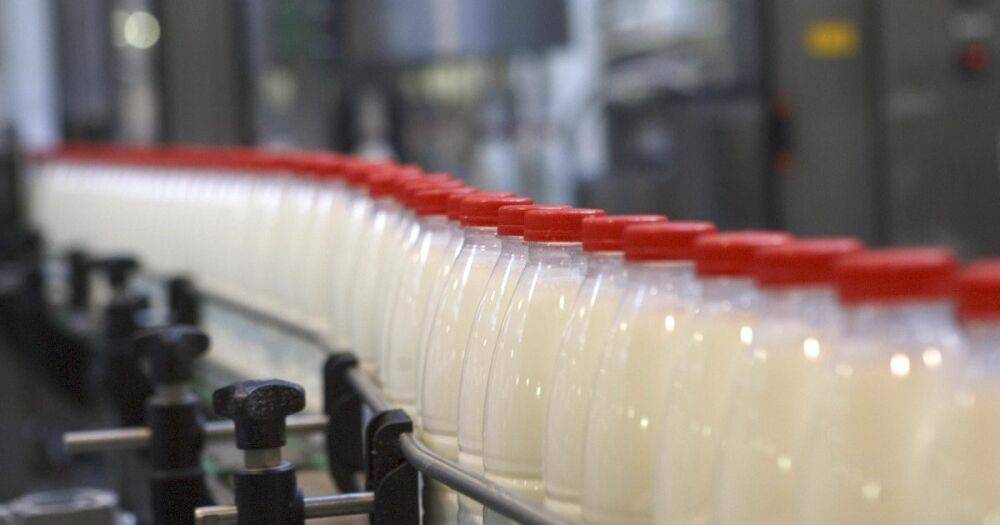 Миллионы на молоко: как отечественным фермерам поможет Швейцария