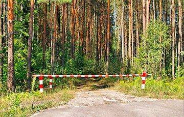 Белорусские лесники усилили охрану приграничных с Россией территорий