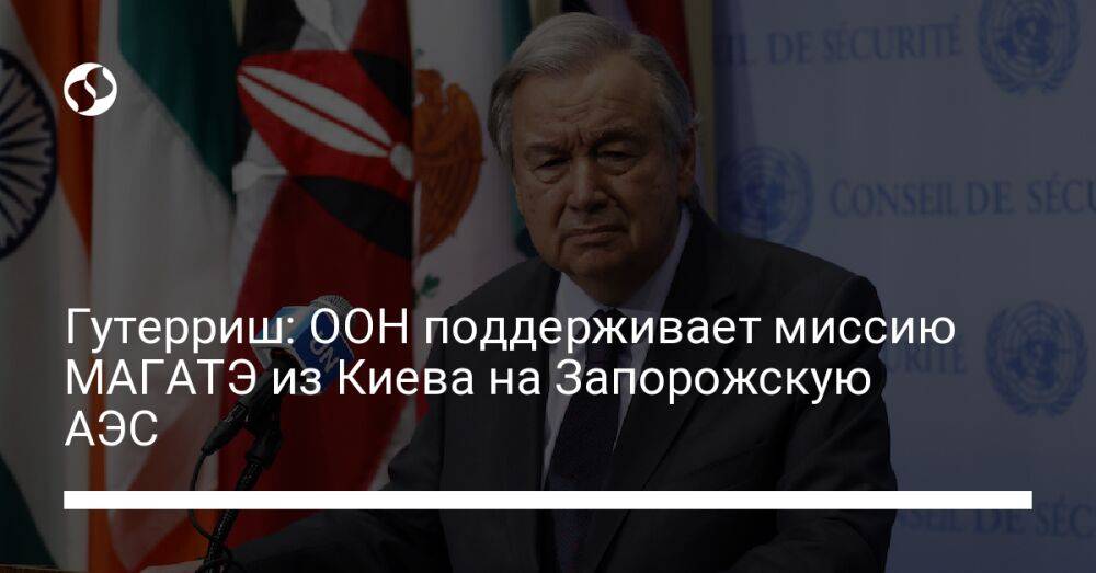 Гутерриш: ООН поддерживает миссию МАГАТЭ из Киева на Запорожскую АЭС