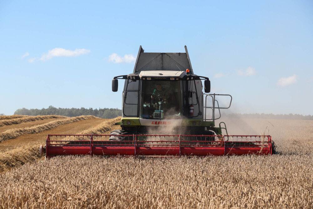 Пять районов Гродненской области превысили 100-тысячный рубеж по намолоту зерна