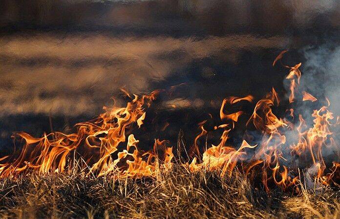 В Минлесхозе рассказали о ситуации с лесными пожарами в Беларуси и возгорании у российской границы