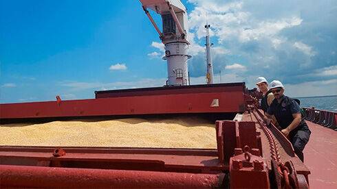 Російські аграрії заявили про складнощі при експорті зерна попри скасування санкцій