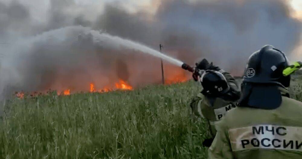 Горит 117 локаций: в России площадь пожаров за сутки выросла до 122 тысяч га