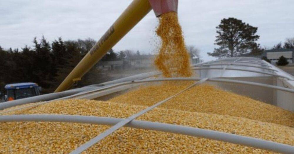 Оставили ни с чем: Россия украла в Луганской области 200 тысяч тонн зерна