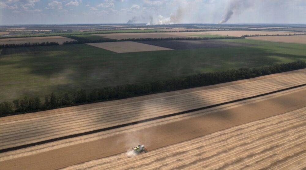 Украинские зернохранилища уже переполнились, нужно ускорить экспорт – ООН