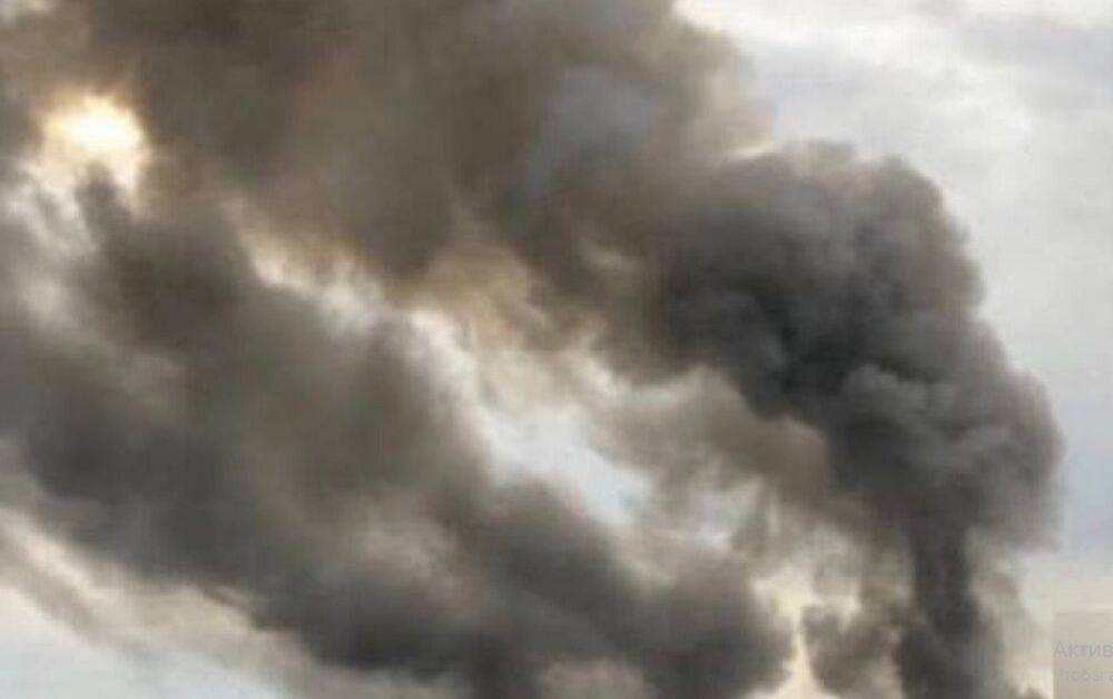 Госэкоинспекция: в Николаевской области в результате пожаров в лесах в воздух попали вредные вещества