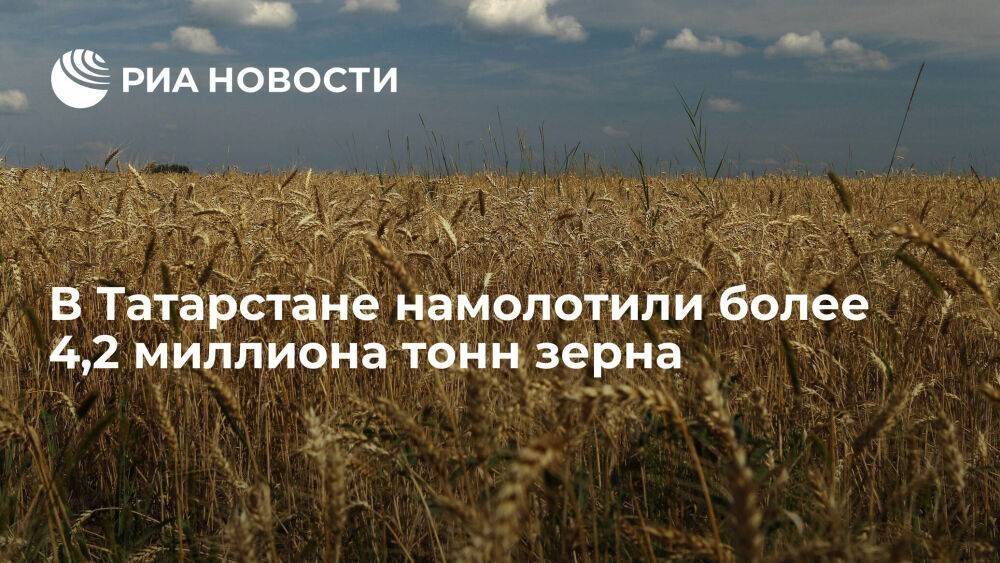 Более 4,2 миллиона тонн зерна намолочено в Татарстане, два района завершили уборку