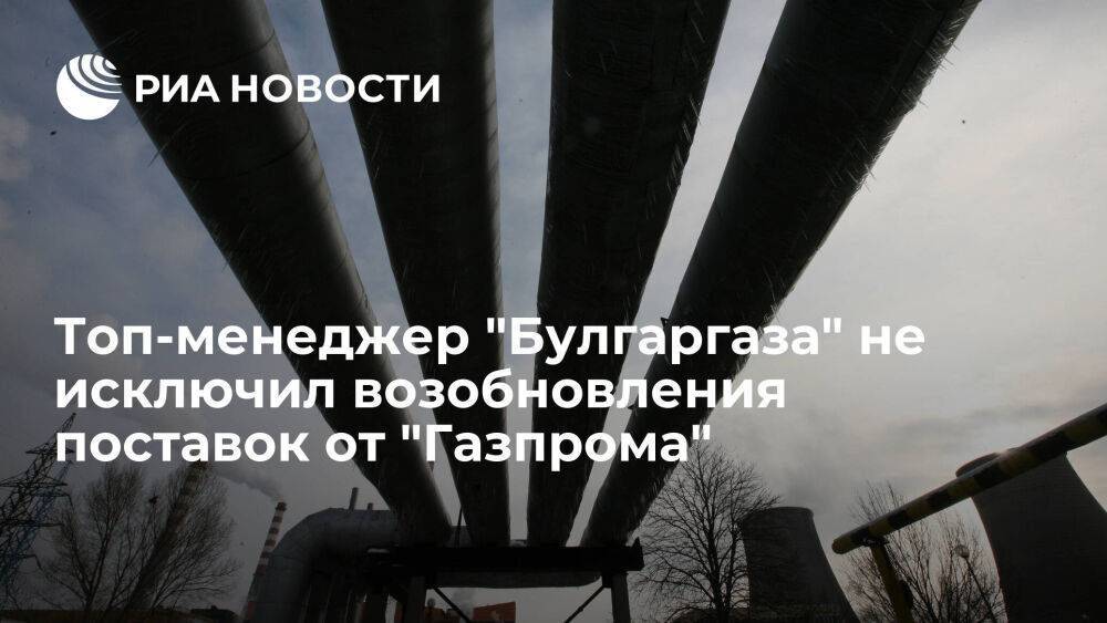Топ-менеджер "Булгаргаза" Топчийски не исключил возобновления поставок от "Газпрома"