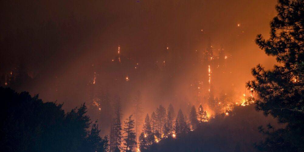 Это не в первый раз. В Испании компания по восстановлению леса сожгла 14 гектаров деревьев