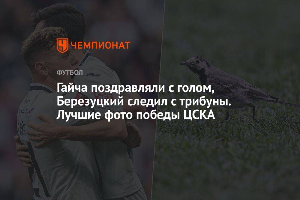 Гайча поздравляли с голом, Березуцкий следил с трибуны. Лучшие фото победы ЦСКА