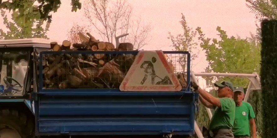 В Мариуполе оккупанты начали спиливать деревья в парках, заготавливая дрова на зиму — советник мэра