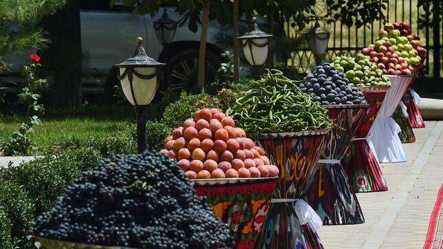 Согдийская область и Красноярский край планируют реализовать новые проекты по экспорту фруктов