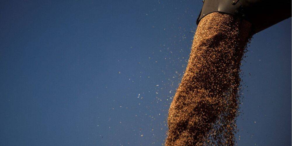 СБУ установила коллаборантов, которые помогли россиянам украсть украинское зерно на более чем 200 млн долларов