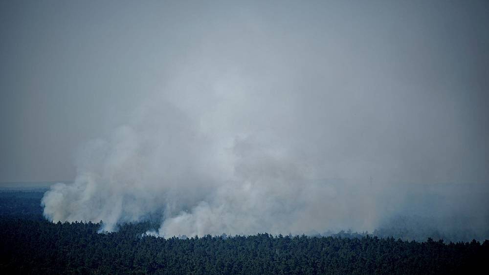 Пожар в берлинском лесу