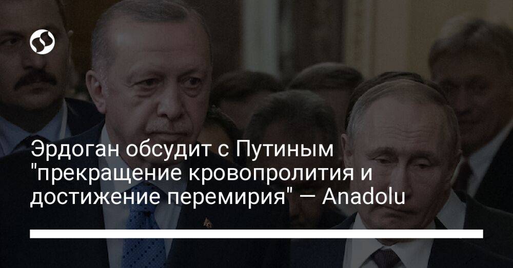 Эрдоган обсудит с Путиным "прекращение кровопролития и достижение перемирия" — Anadolu