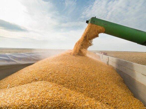 россия может сократить экспорт зерна на 50 млн тонн, если не достигнет целевого показателя урожая