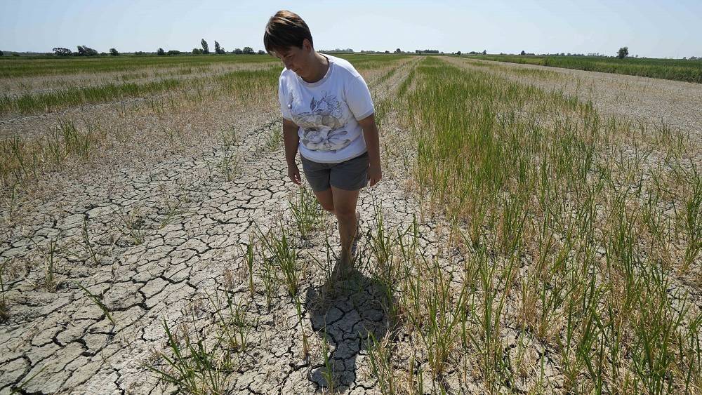"Красный" уровень угрозы из-за засухи в Европе