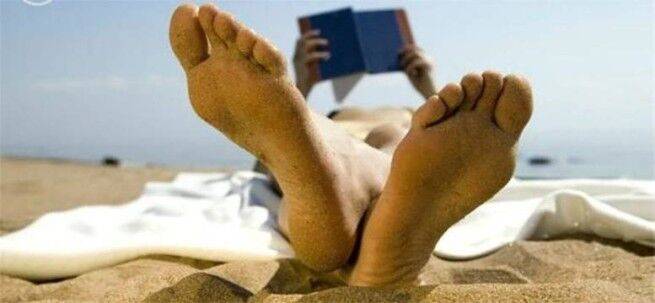 Требуется "пляжный книготорговец": предлагается проживание на вилле за 36 500 долларов за ночь