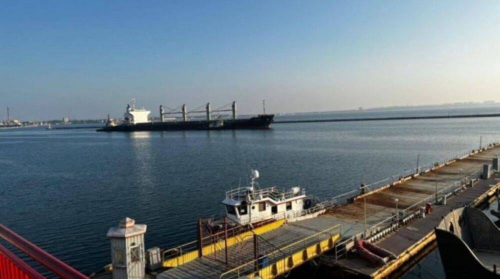 Первое судно из каравана с украинским зерном прибыло в Стамбул – СМИ