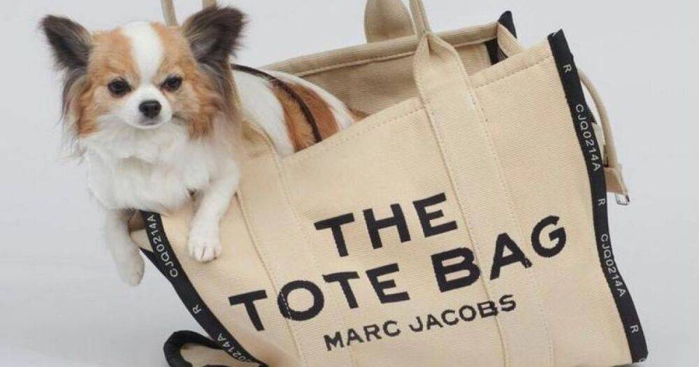 Очаровательные собаки рекламируют сумки Marc Jacobs