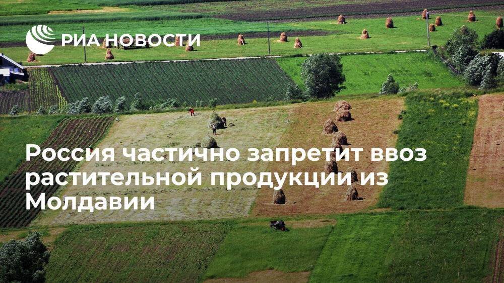 Россия частично запретит ввоз растительной продукции из Молдавии из-за нарушений карантина