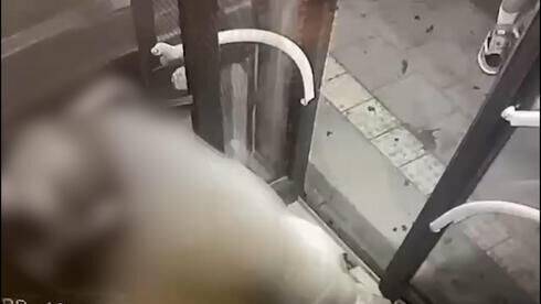 "Cлезы дочери его не остановили": пассажир жестоко избил водителя в Хайфе - видео